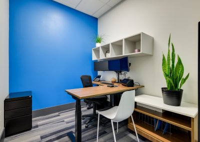 Workstation with a blue feature wall