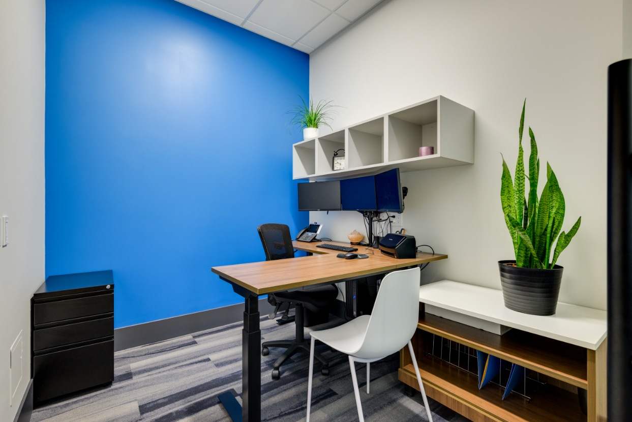 Workstation with a blue feature wall